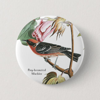 Baai-gebrande Warbler, Audubon, Houtwarbler, Vogel Ronde Button 5,7 Cm