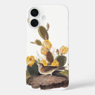 Baai-gevleugelde Bunting Audubon Bird iPhone 16 Hoesje