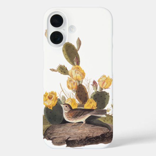 Baai-gevleugelde Bunting Audubon Bird Case-Mate iPhone Case (Achterkant)