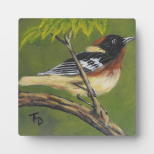 Baai met warbler - Plaque met asel in tablet Fotoplaat