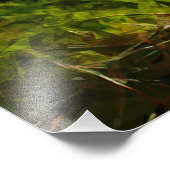 Baai op weg naar Hana Maui Hawaii Abstract Foto Afdruk (Hoek)