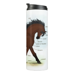 Baai paard met blaze educatieve anatomische kaart thermosbeker