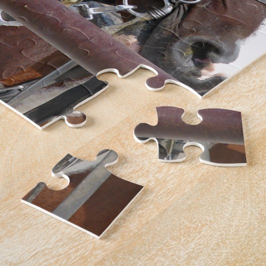 Baai Pinto Amish Buggy Horse in Kalona, Iowa Legpuzzel (Zijkant)