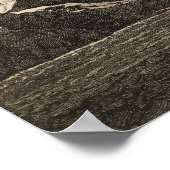 Baai van eigendom, Zuid-Georgië Poster (Hoek)