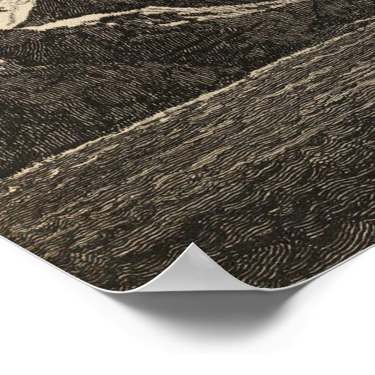 Baai van eigendom, Zuid-Georgië Poster (Hoek)