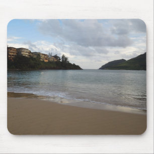 Baai van Kalapaki in Kauai, Hawaï Muismat