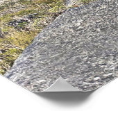 Baai van wijnglas poster (Hoek)