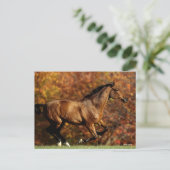 Baai Warmblood Runing Autumn Background Briefkaart (Staand voorkant)