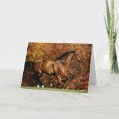 Baai Warmblood Runing Autumn Background Kaart (Voorkant)