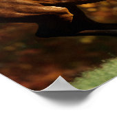 Baai Warmblood Runing Autumn Background Poster (Hoek)