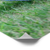 Baal van hooi poster (Hoek)