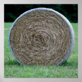 Baal van hooi poster (Voorkant)