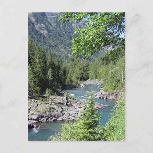 Baanbrekend nationaal bos briefkaart (Voorkant)