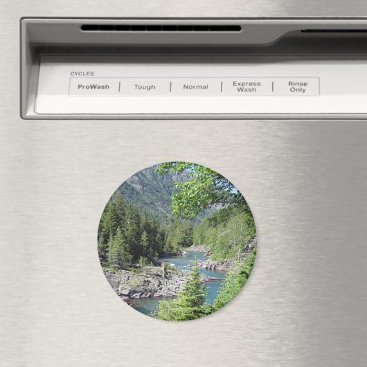 Baanbrekend nationaal bos magneet (Insitu (Vaatwasser))