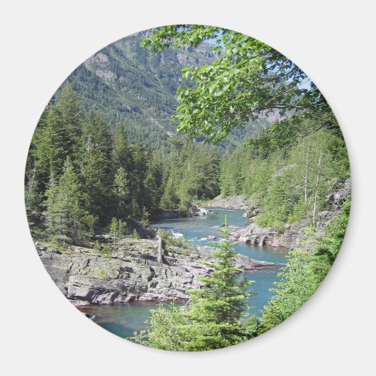 Baanbrekend nationaal bos magneet (Voorkant)