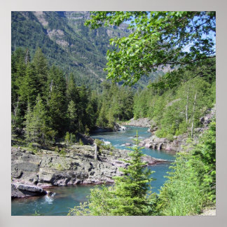 Baanbrekend nationaal bos poster