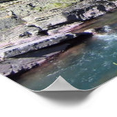 Baanbrekend nationaal bos poster (Hoek)