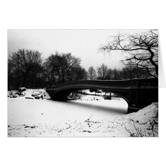 Baanbrug Winter Central Park NYC (Voorkant Horizontaal)