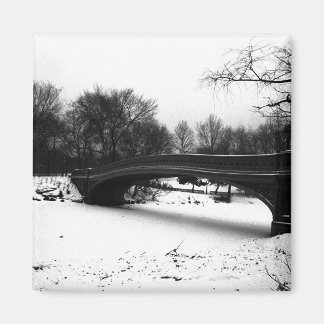 Baanbrug Winter Central Park NYC Magneet
