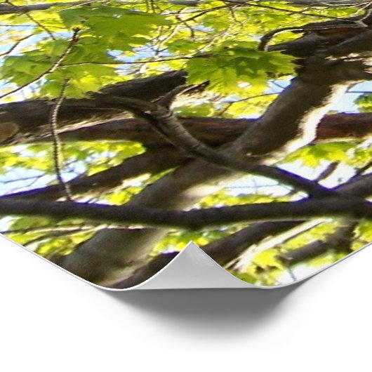 Baanleemten Poster (Hoek)