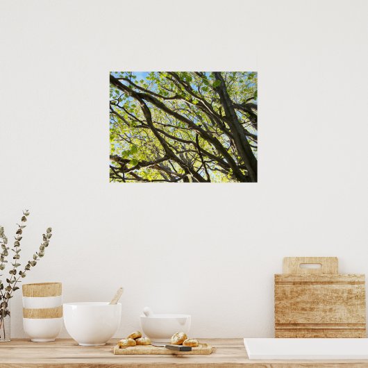 Baanleemten Poster (Keuken)