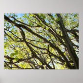 Baanleemten Poster (Voorkant)