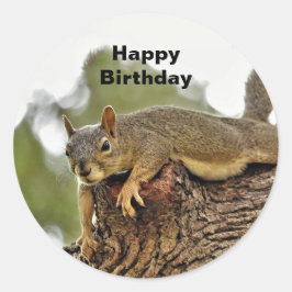 Baanschaal Ronde Sticker