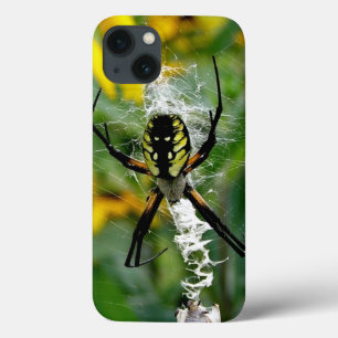 Baanspin in Web iPhone 13 Hoesje