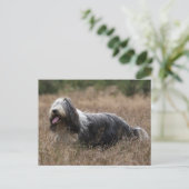 baard briefkaart (Staand voorkant)