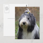 baard briefkaart (Voorkant / Achterkant)