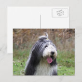 baard briefkaart (Voorkant / Achterkant)
