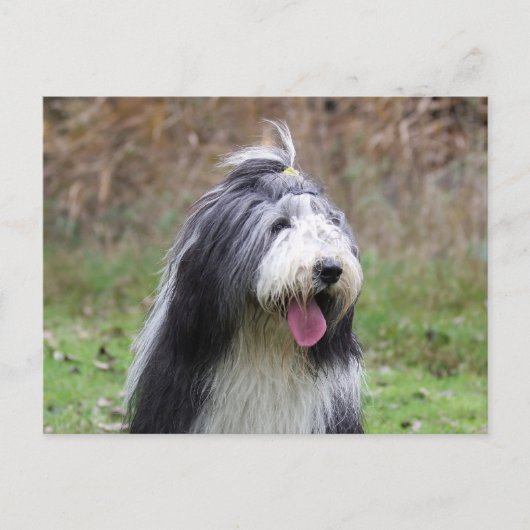 baard briefkaart (Voorkant)