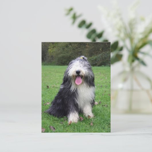 baard briefkaart (Staand voorkant)