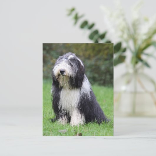 baard briefkaart (Staand voorkant)