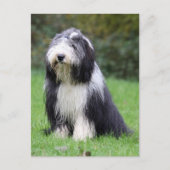 baard briefkaart (Voorkant)