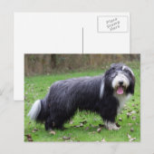 baard briefkaart (Voorkant / Achterkant)