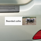 baard bumpersticker (Op auto)
