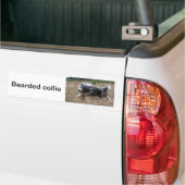 baard bumpersticker (Op Truck)