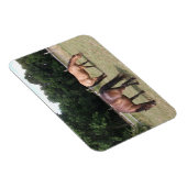 Baard en vale paarden grazen in de wei magneet (Rechterzijde)