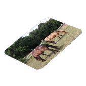 Baard en vale paarden grazen in de wei magneet (Linkerzijde)