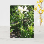 "Baard-Iris 'Goldkist' Pasen Kaart" Kaart (Gele Bloem)