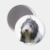 baard magneet (Voorkant / Achterkant)