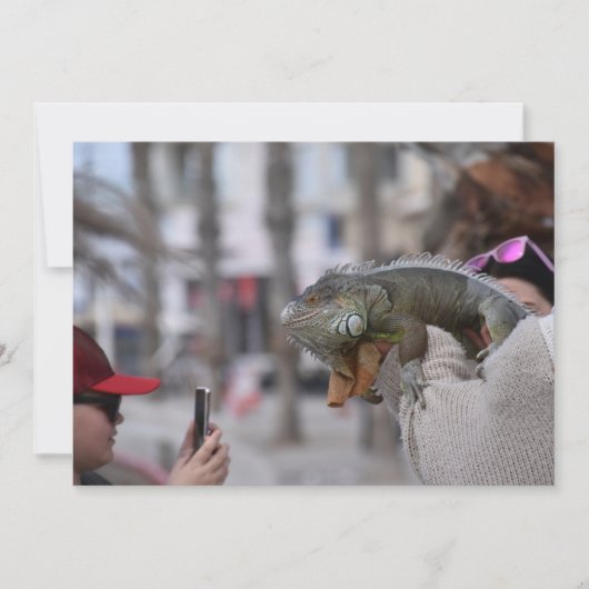 Baardagaam aan de kust Paphos briefkaart (Voorkant)