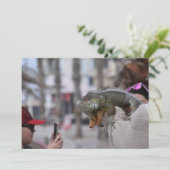 Baardagaam aan de kust Paphos briefkaart (Staand voorkant)