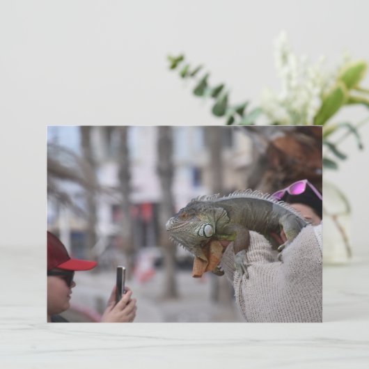 Baardagaam aan de kust Paphos briefkaart (Staand voorkant)