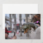 Baardagaam aan de kust Paphos briefkaart (Voorkant / Achterkant)