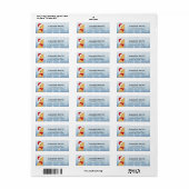 Baardagaam Hagedis Retouradres Labels (Full Sheet)