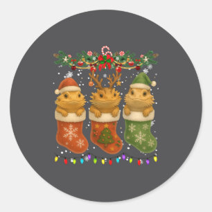 Baardagaam in Kerstsokken Lichten Baardagaam Ronde Sticker