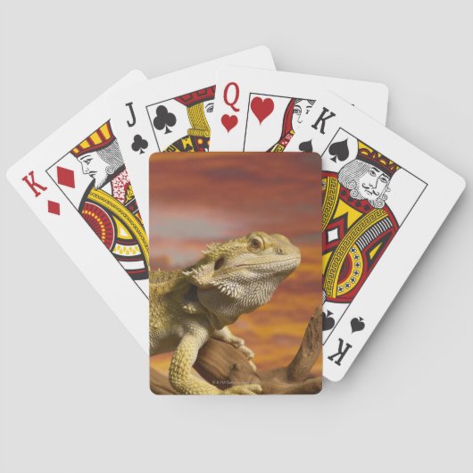 Baardagame (Pogona Vitticeps) op tak, Pokerkaarten (Achterkant)