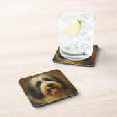Baardcollie Bier Onderzetter (Rechterzijde)
